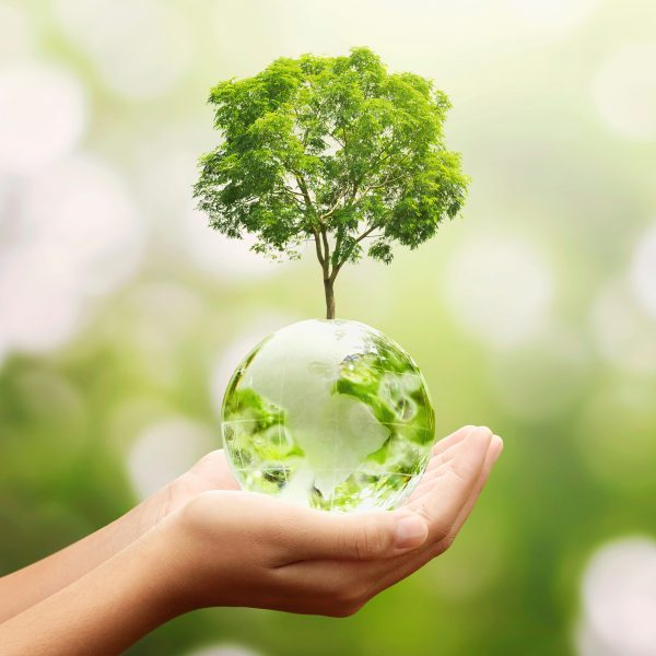 sustainability-pic